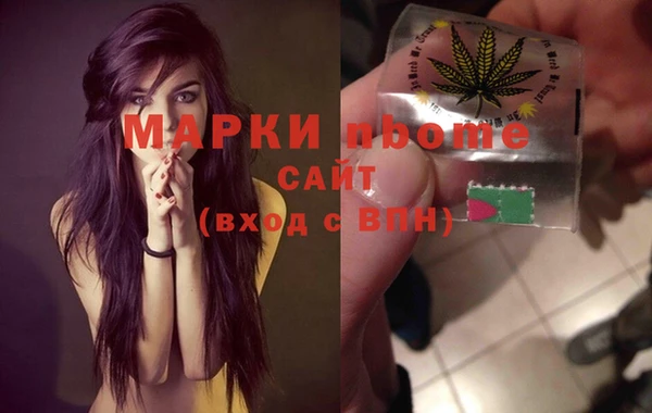 гашик Верея