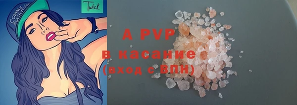 гашик Верея