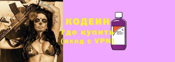 гашик Верея