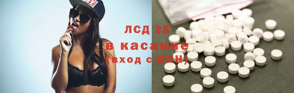 гашик Верея