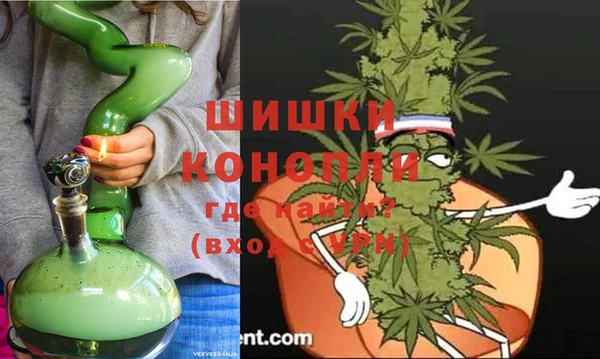 гашик Верея