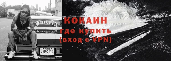 гашик Верея