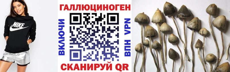 что такое наркотик Липки Псилоцибиновые грибы MAGIC MUSHROOMS